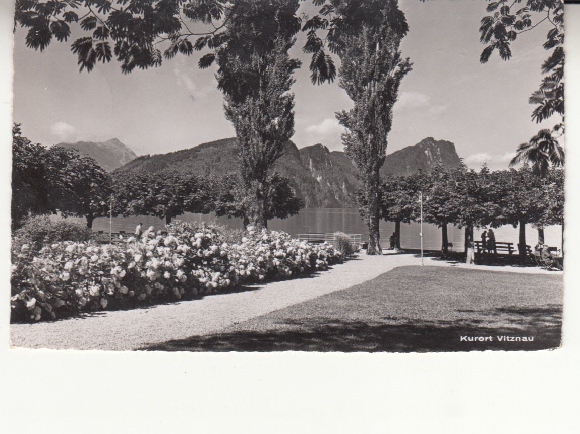 Ansichtskarten: Vitznau 1957 – Gebraucht aus Bürglen TG von StampGraf