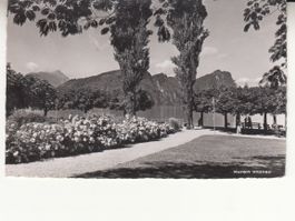 Vitznau 1957