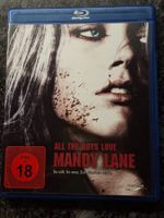 All the Boys love Mandy Lane