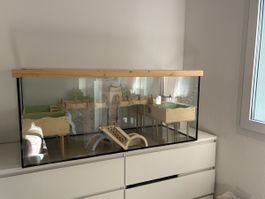 Nagarium aus Glas mit Holzeinrichtung guter Zustand