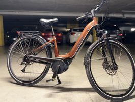 EBIKE E-Bike – Bosch Active Line Plus – 3.500 km
