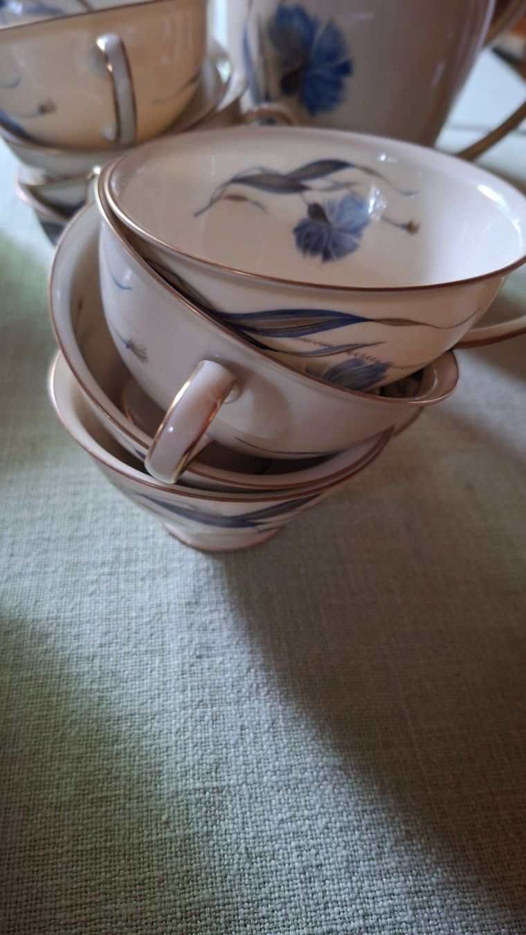 Rosenthal Set di piatti: Rosenthal Winifred Tee-/Kaffeeservice 29-teilig antik – Usato da Hittnau venduto da Agi010 3