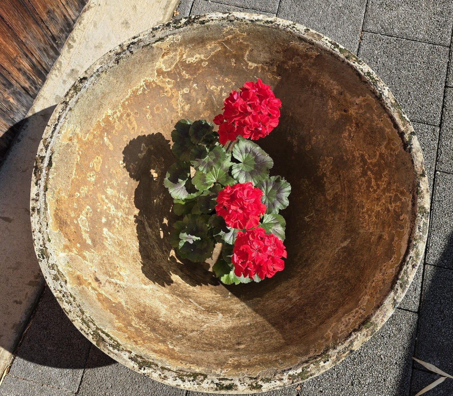 Eternit Vasi per fiori: Grosser Eternitpflanzkübel  71cm Durchm. – Usato da Walkringen venduto da Vanuca 5