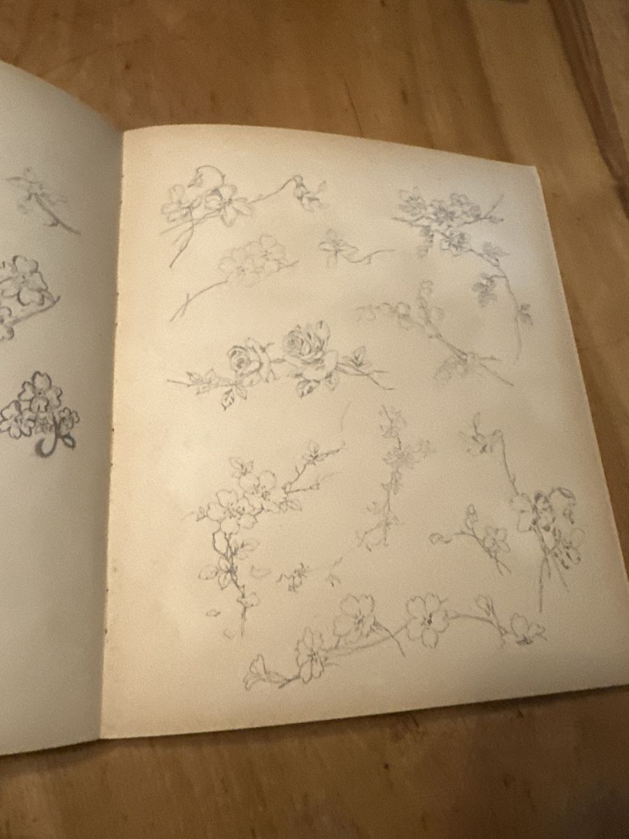 Bücher: Antikes Mal- und Zeichenbuch "Aus der Blumenwelt" – Gebraucht aus Frauenfeld von aluma14 1