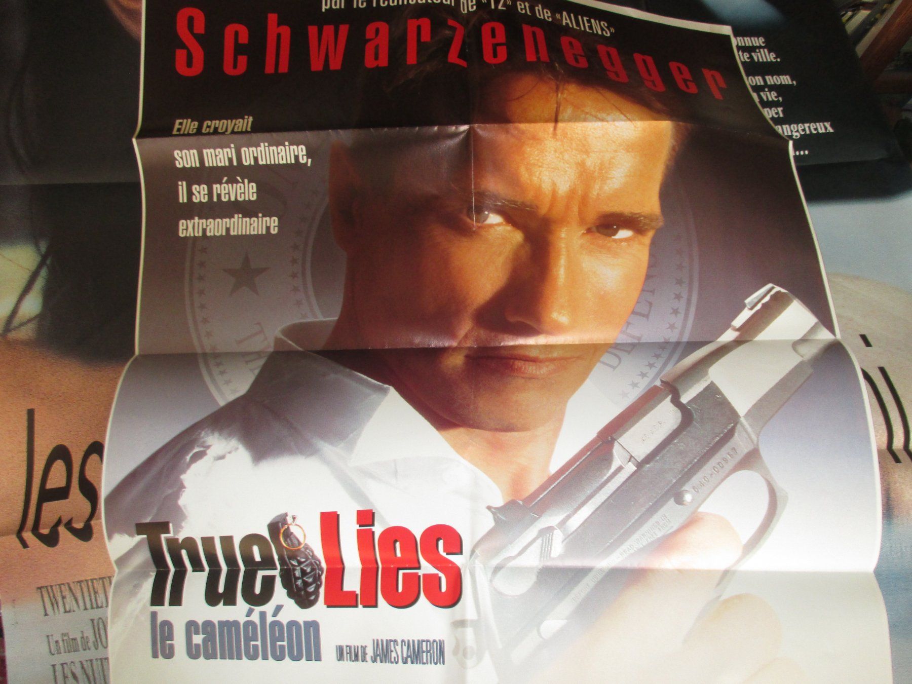 Poster & Bilder: affiche True Lies (Arnold Schwarzenegger) – Gebraucht aus Colombier NE von Nevenma 1