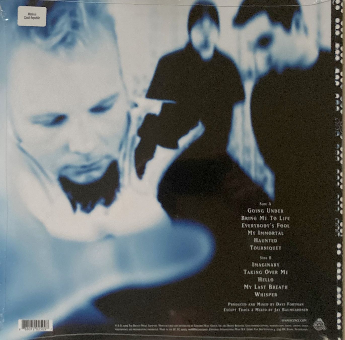 Dischi in vinile: EVANESCENCE - FALLEN (1 LP) – Nuovo e nell'imballaggio originale da Bottens venduto da hotter-than-hell 1