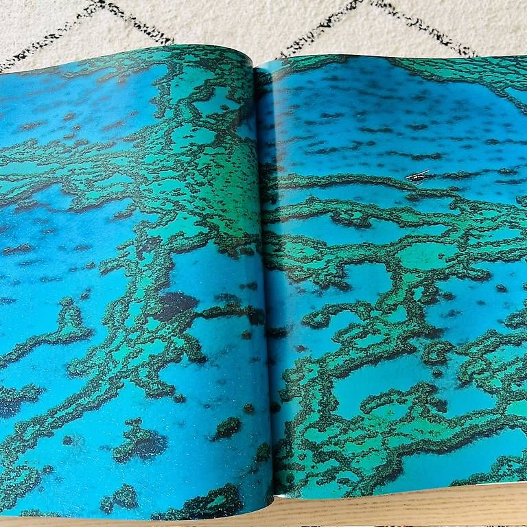 Libri: La Terre vue du ciel  – Usato da Versoix venduto da L_armoire_d_isa 1