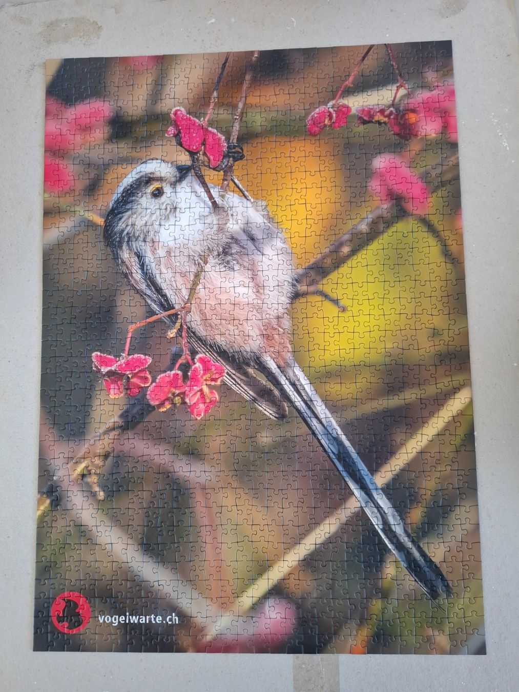 Puzzle: Vogelwarte Sempach, Schwanzmeise, Puzzle – Usato da Hinterkappelen venduto da Schampus 1