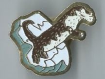 Otter, Pin