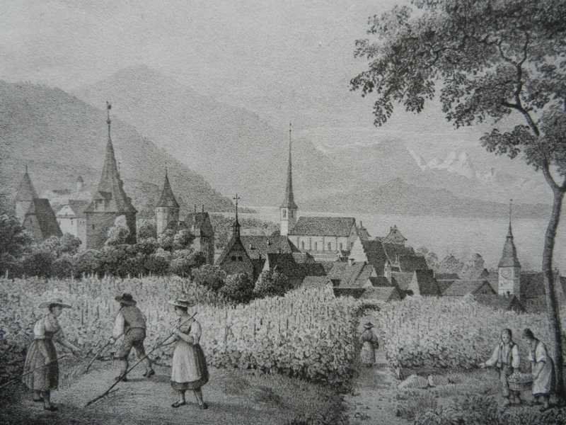 Incisioni: Zug selten – Usato da Risch venduto da Rischli15 1