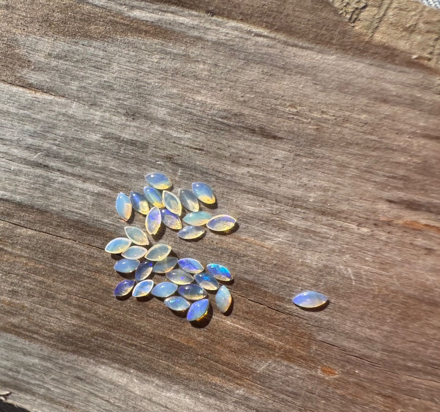 Fossili: 30 Stk  Cabochons Opal  echt!! winzig neu    2x4mm  solid – Nuovo e nell'imballaggio originale da Leuggern venduto da gemshow 1