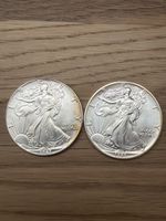 USA American Eagle 1987/1989 1 OZ Silber