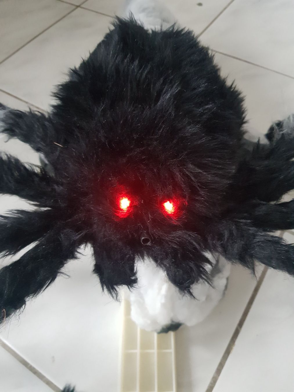 Tutte le decorazioni: HORROR/ HALLOWEEN GROSSE SPRINGSPINNE – Usato da Root venduto da LifestyleAccessoires 2