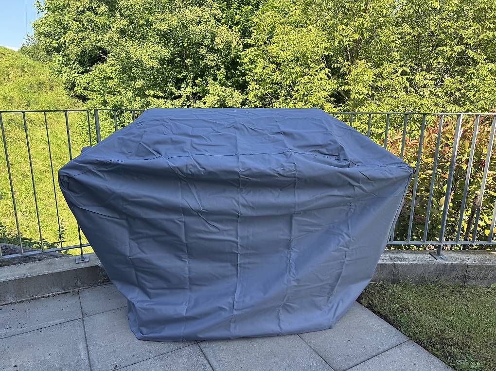 Grills: Gasgrill Edelstahl mit 6+1 Brenner – Gebraucht aus Hasle LU von FvF 1