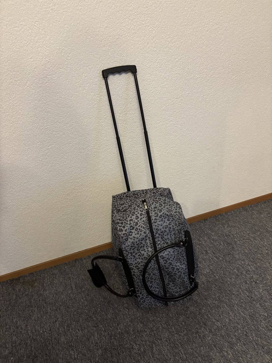 Borse: Reisetasche – Usato da Lostorf venduto da joe_tlk9 2