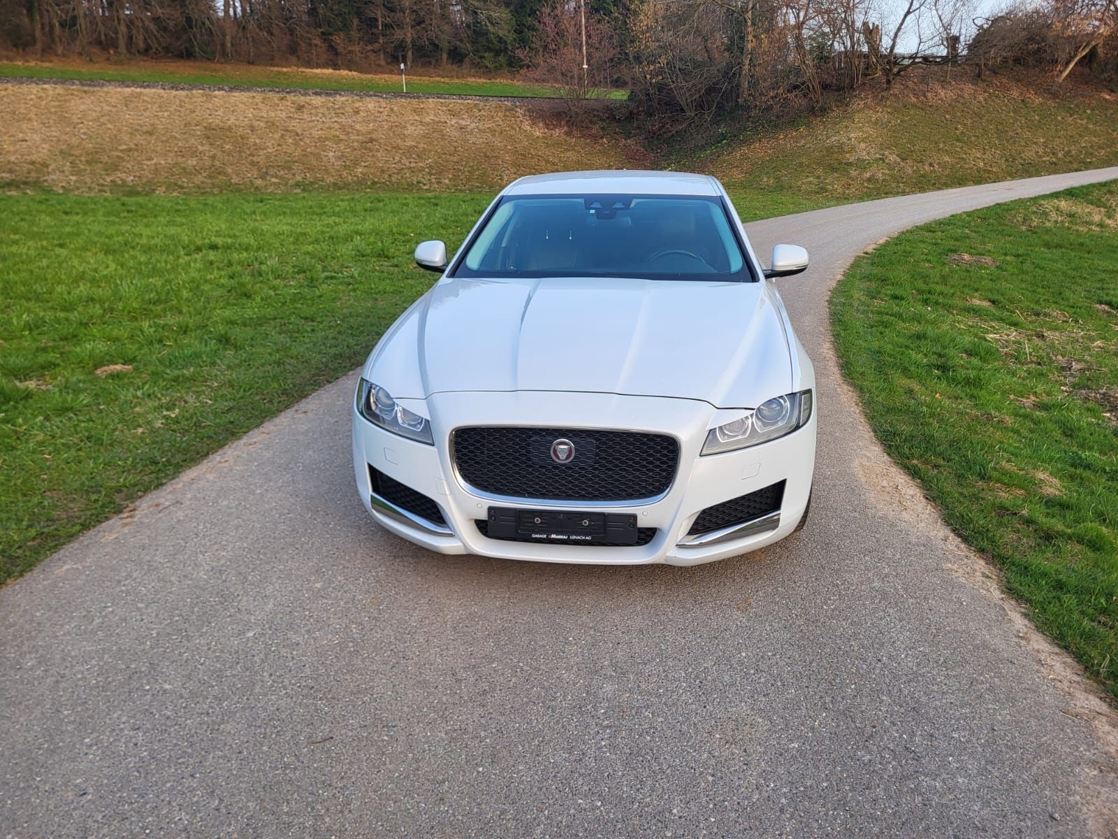 Jaguar Automobili: JAGUAR XF 3.0 – Usato da Wetzikon ZH venduto da sha_96dr 1