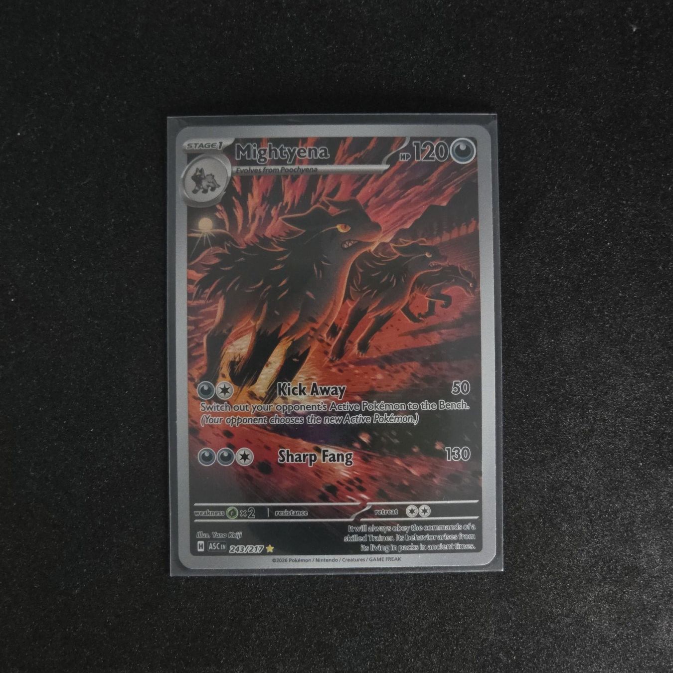 Pokémon Cartes à collectionner: Mightyena (ASC 243) – D'occasion à St. Gallen par CardZelo