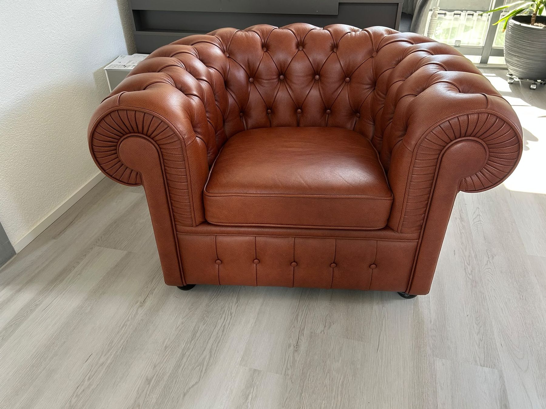 Poltrone: Kler Chesterfield Sessel aus echtem Leder, braun – Nuovo (secondo la descrizione) da Saland venduto da GianSilver