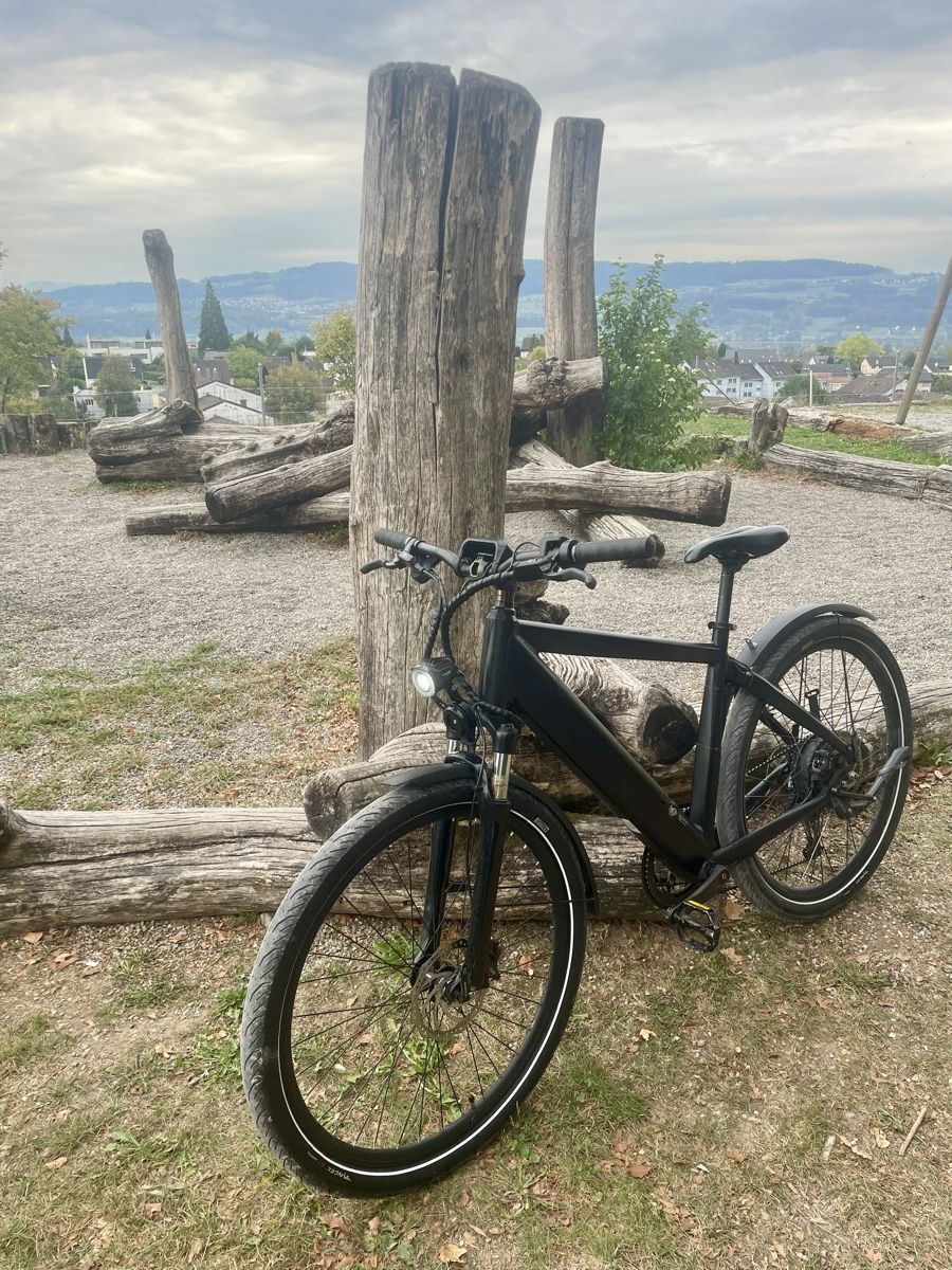 Trelago Vélos: S Pedelec/E-Mountainbike – D'occasion à Uster par FRIEDEN8610 2