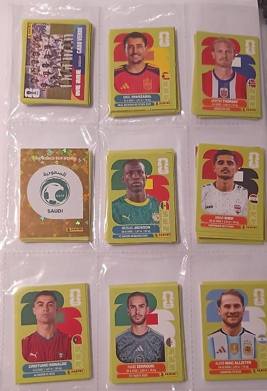 Panini Carte collezionabili: Panini Sticker WM 2026 - 300 Stk. – Nuovo (secondo la descrizione) da Henggart venduto da Alisha_2010 1