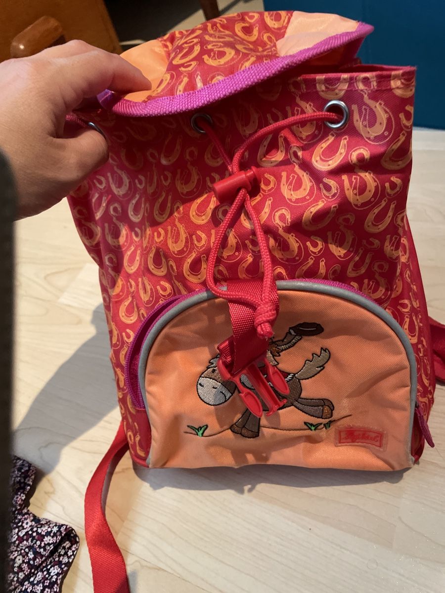 Borse & Zaini: Rucksack – Usato da Benken ZH venduto da stefiz