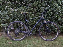 Focus Raven 29R