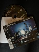 The Walkabouts - Lift Your Burdens Up CD - Top Zustand!