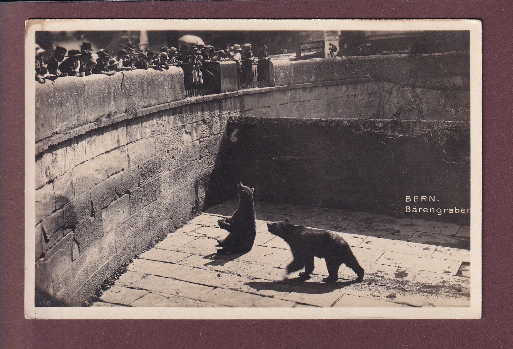 Cartoline postali: BERN - Bärengraben – Usato da Pully venduto da nicecards