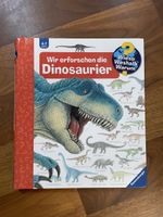 Dinosaurier Buch "Wieso? Weshalb? Warum?" für Kinder 🦕