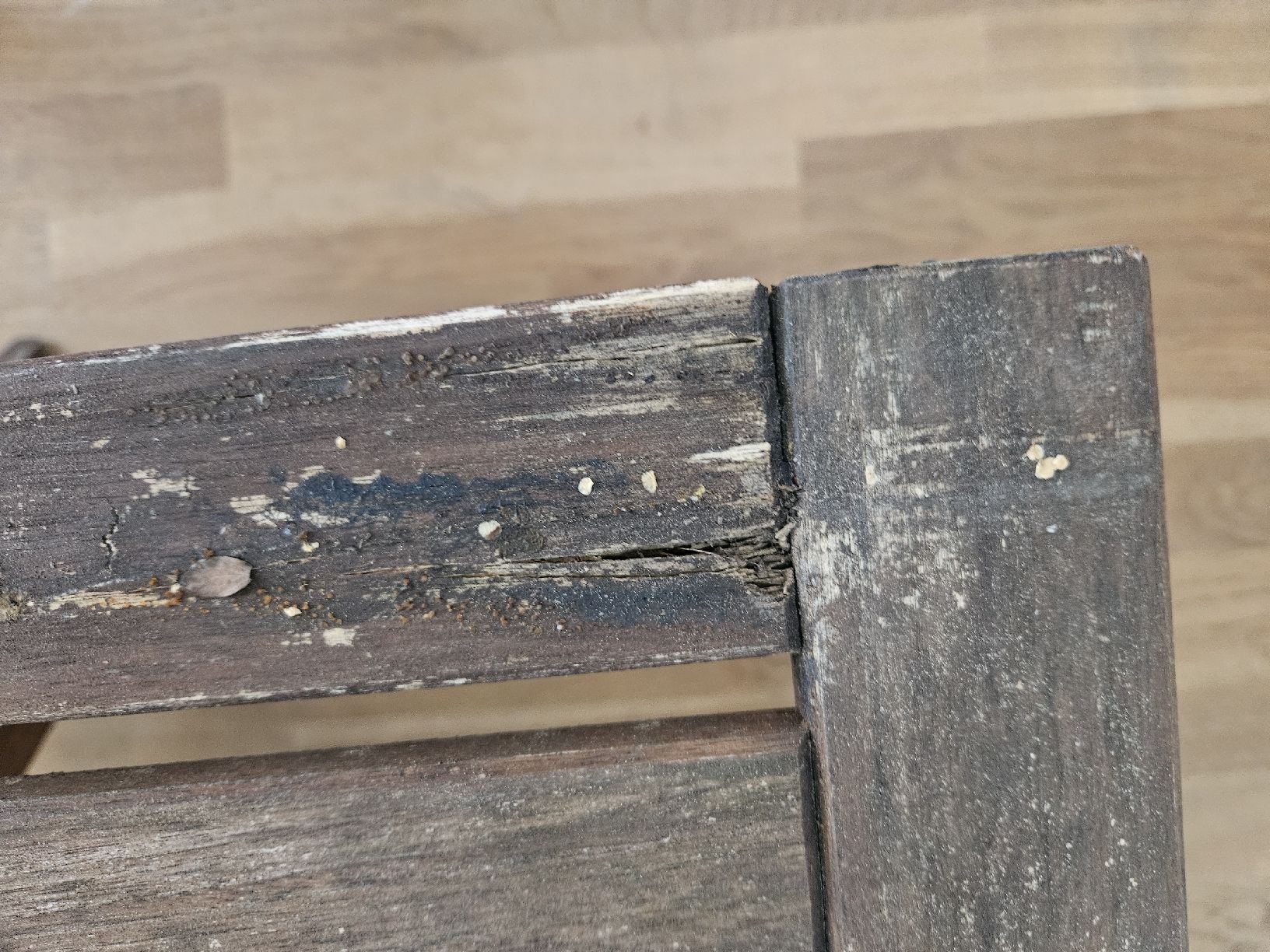 Ikea Sedie: Gebrauchte Gartenstühle aus Holz, 4 Stück – Usato da Basel venduto da ._.Claudia._. 3