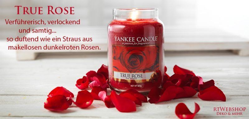 Yankee Candle Candele: Yankee Candle True Rose medium Jar – Nuovo e nell'imballaggio originale da Langwiesen venduto da rtWebshop 1