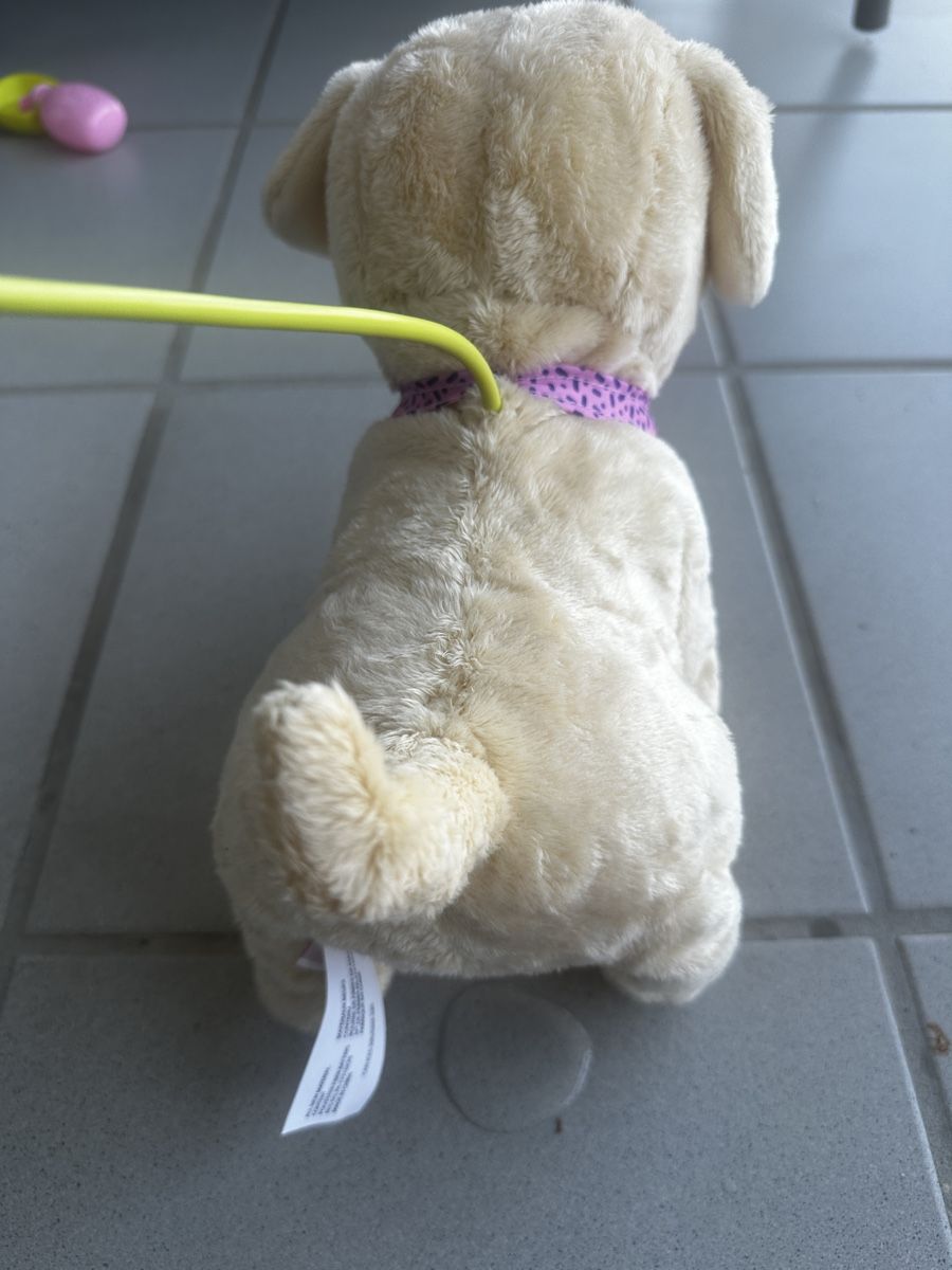 Giocattoli: Baby Born Hund Lucky – Usato da Forch venduto da sv94 7