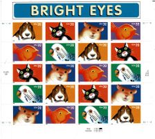 USA Bright Eyes Tieraugen 1 KB **