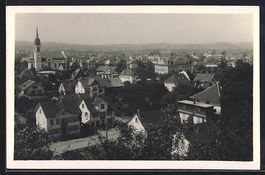 Weinfelden, Teilansicht aus der Vogelsch