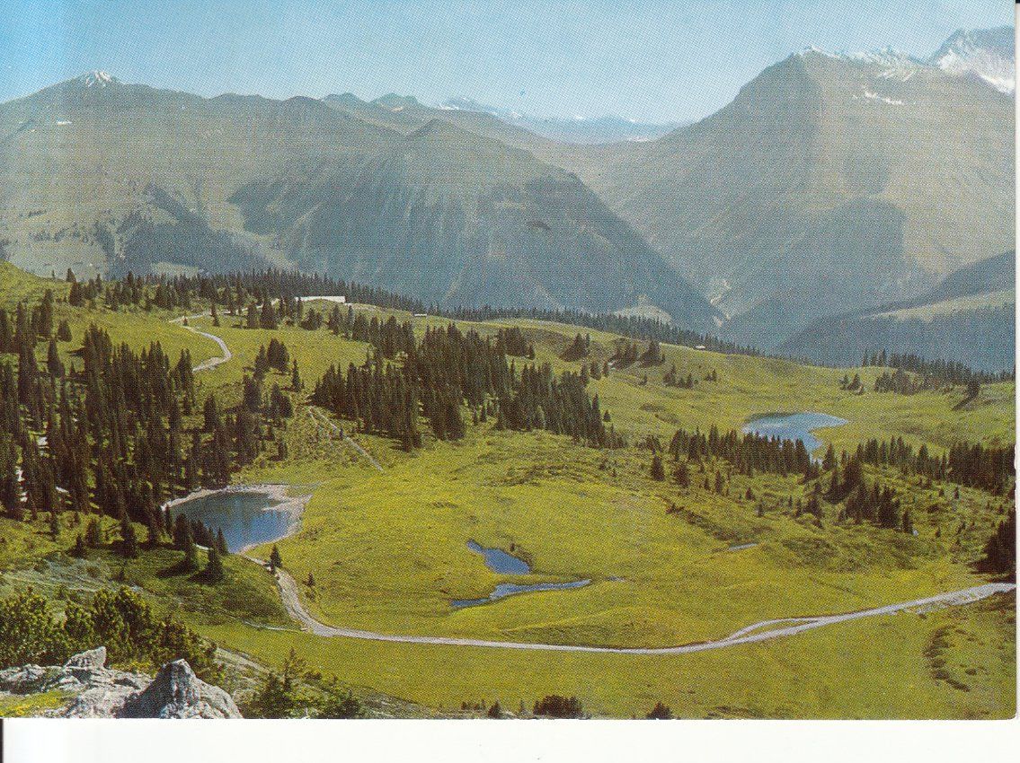 Cartoline postali: Prätschsee 1981 – Usato da Bürglen TG venduto da StampGraf