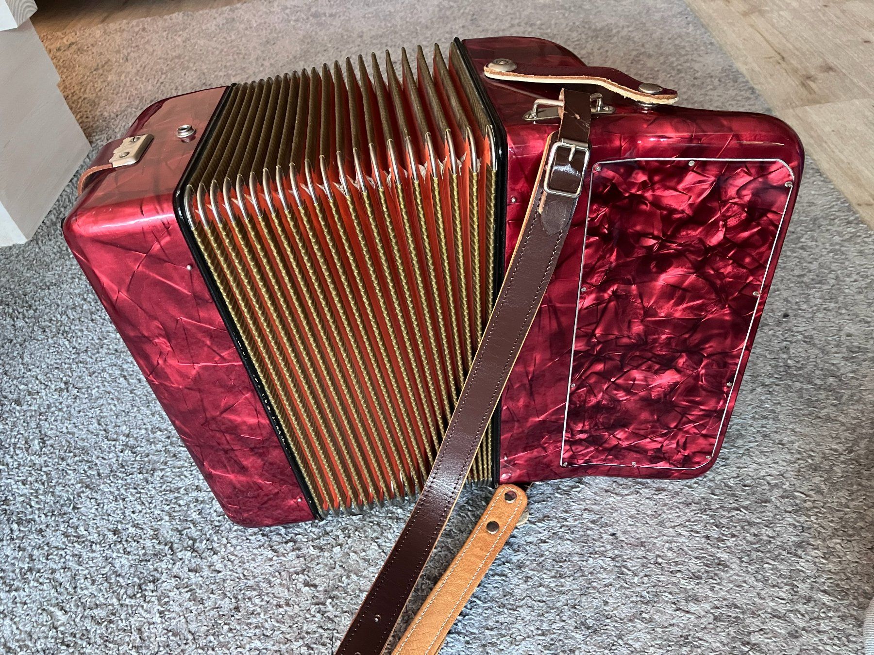 Hohner Strumenti musicali: Diatonisches Akkordeon mit Knöpfen – Usato da Meilen venduto da Melcolm 4