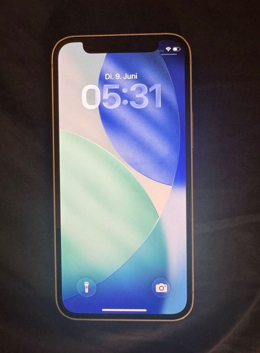 Apple Telefoni cellulari / Smartphones: iPhone 12 mini 64GB Grün – Usato da Eglisau venduto da ron_5qky 1