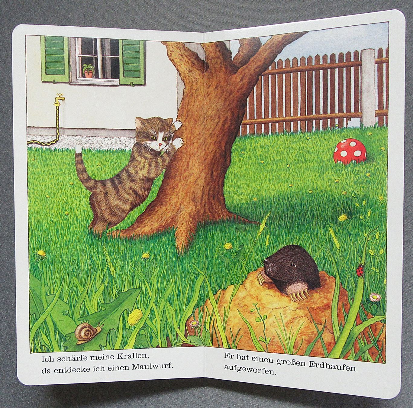 Libri: Ich bin die kleine Katze - Bilderbuch - kartonierte Seiten – Usato da Auenstein venduto da Padabimbim 5
