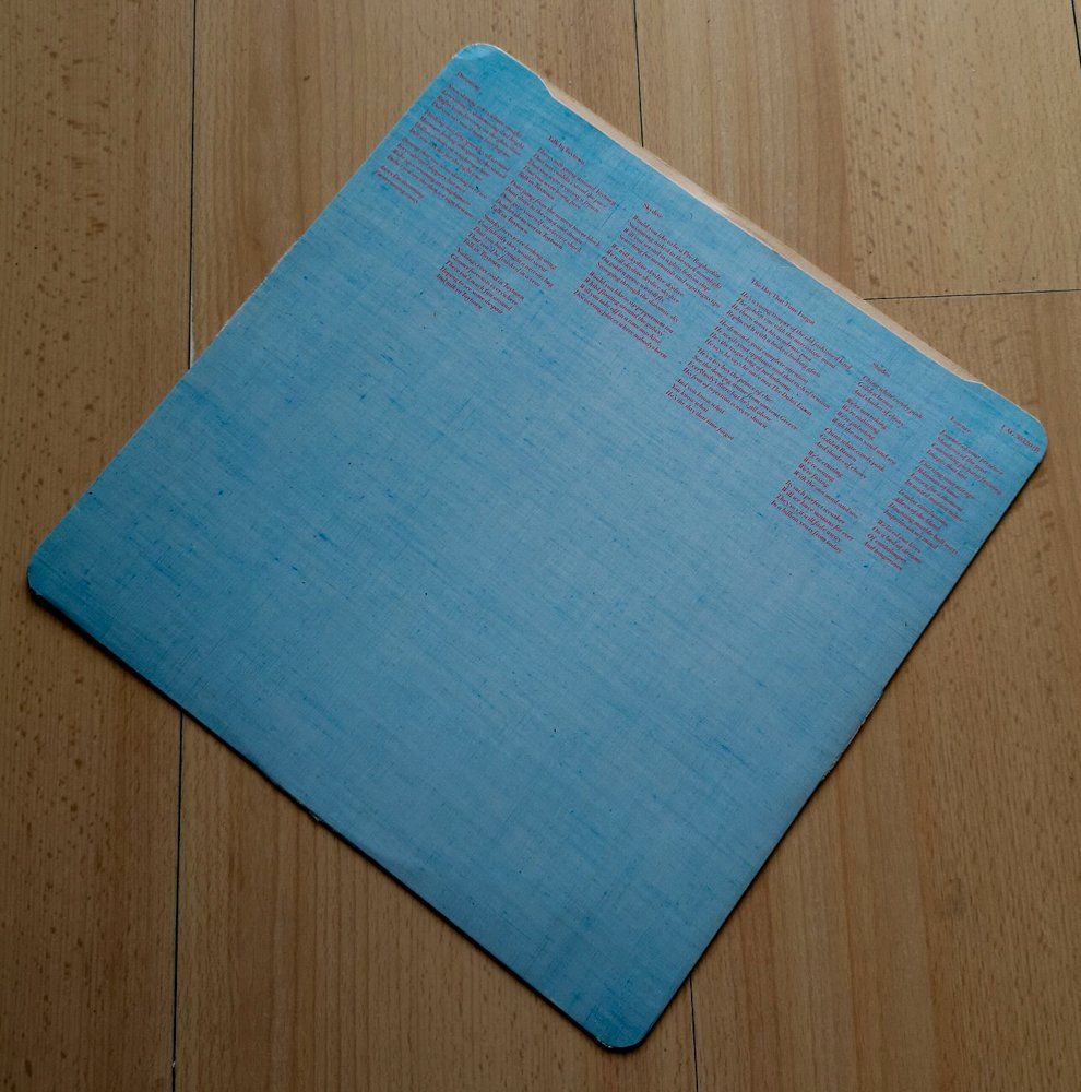 Dischi in vinile: Poly Styrene - Translucence (New Wave 1981) – Usato da Sargans venduto da Botanico 3