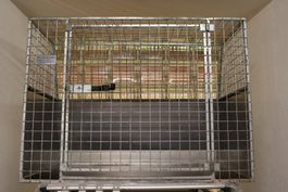 Hundebox