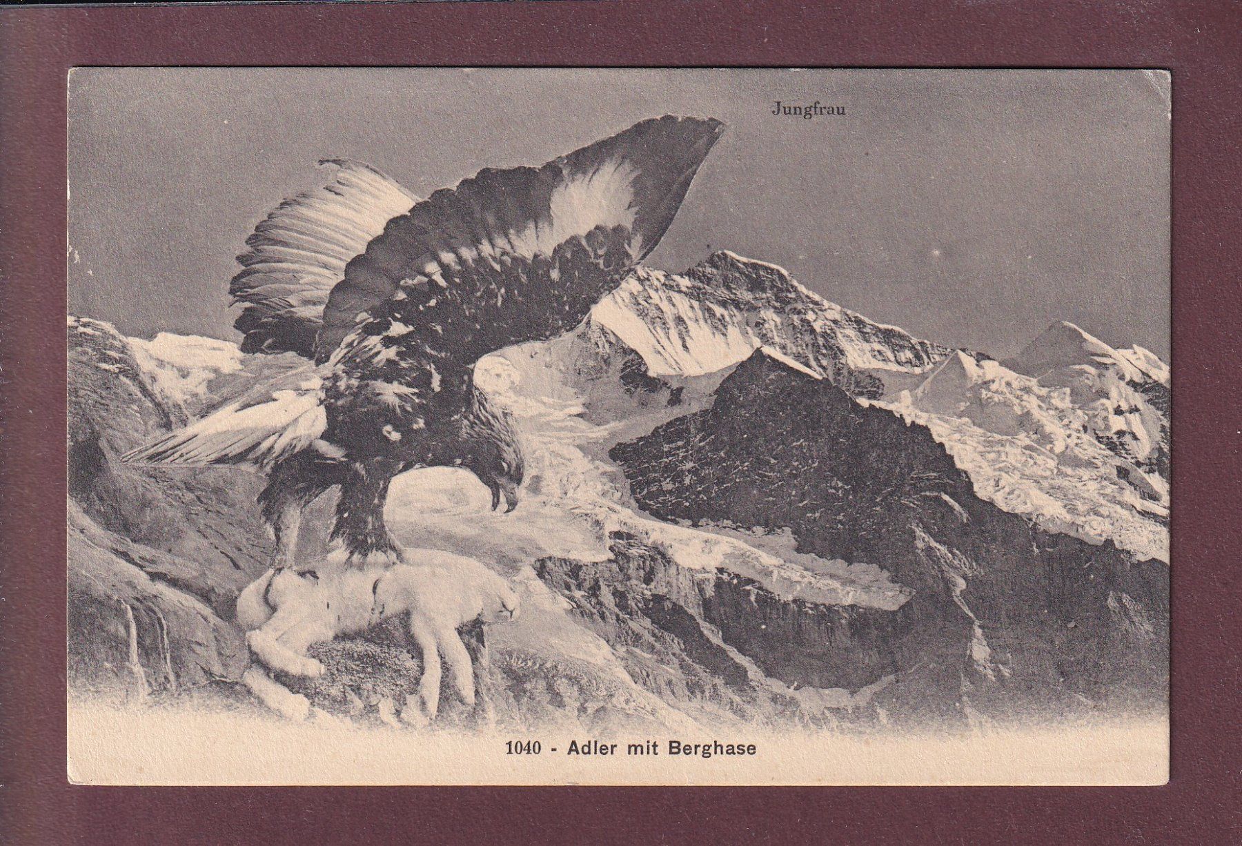 Ansichtskarten: JUNGFRAU - Adler mit Berghase – Gebraucht aus Pully von nicecards-shop