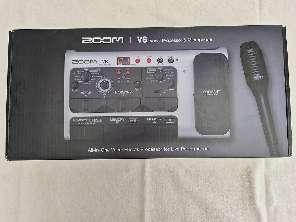 Registratori: ZOOM V6-SP – Usato da Court venduto da famille_schaer 3