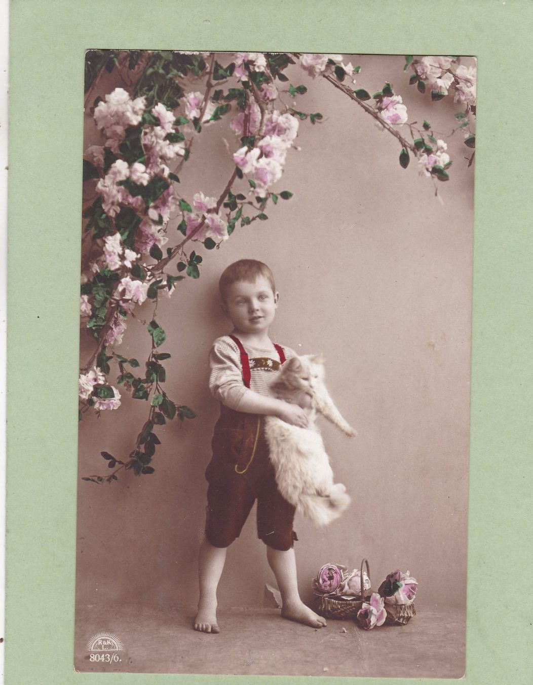 Cartoline postali: Kitsch Junge mit Katze Blumen 1918 – Usato da Herisau venduto da Lisegrat2008