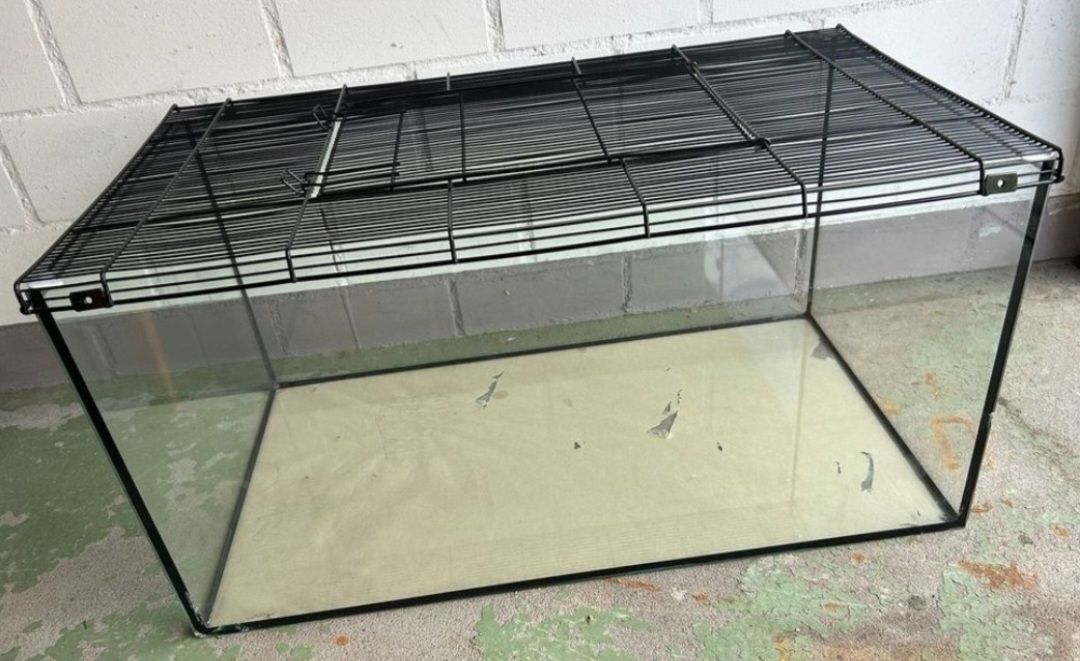 Terrarium: Nagerterrarium – Gebraucht aus Kappel SO von Matschi86