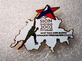 Ansteckpin 96: Sion 2002