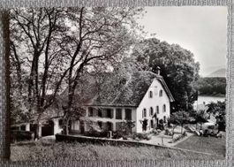 Carte Postale / Puidoux - La Maison Blanche au Lac de Bret