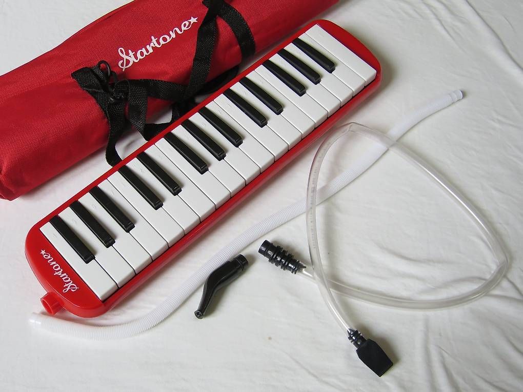 Strumenti musicali: Melodica – Usato da Zürich venduto da Furgers