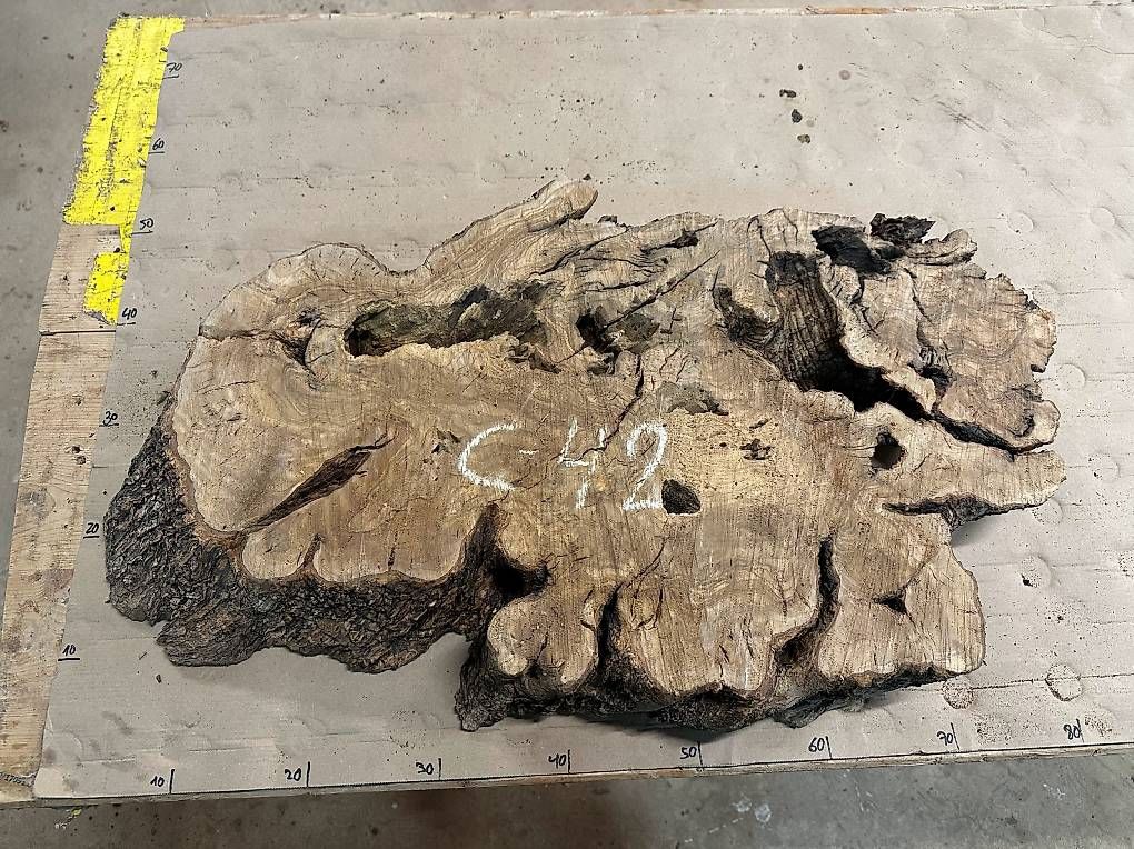 Articoli in legno: C-42 Olivenholz Wurzelscheiben Baumscheiben – Usato da Buus venduto da macipioji