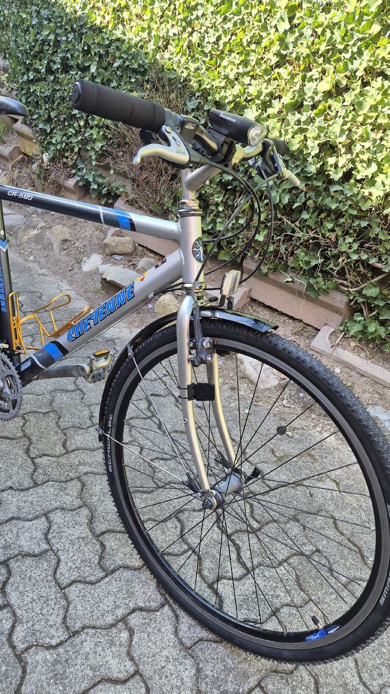 Velos: Velo ab Service – Gebraucht aus Oberhasli von Velo_Susak 2