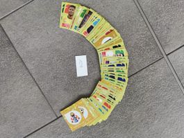 108 Panini Sticker WM 2026